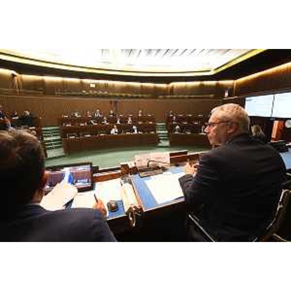 I lavori dell'Aula - I lavori dell'Aula