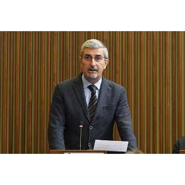 Andrea Carli (Pd), primo firmatario della richiesta di audizione - Andrea Carli (Pd), primo firmatario della richiesta di audizione