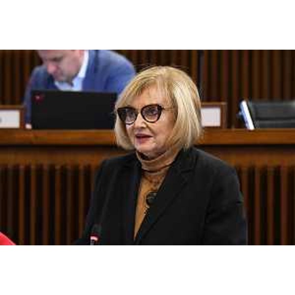 Laura Fasiolo (Pd) - Laura Fasiolo (Pd)