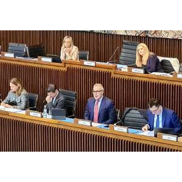 L'assessore Bini (al centro) durante la riunione della II Commissione consiliare - L'assessore Bini (al centro) durante la riunione della II Commissione consiliare