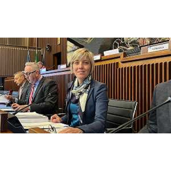 L'assessore Zilli in Aula durante la riunone della I Commissione - L'assessore Zilli in Aula durante la riunone della I Commissione