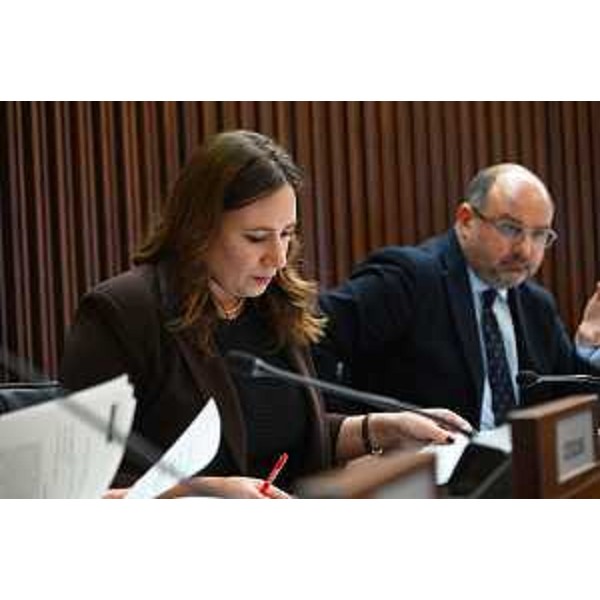 Manuela Celotti e Diego Moretti (Pd) - Manuela Celotti e Diego Moretti (Pd)