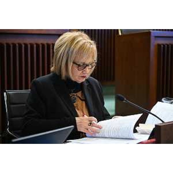 Laura Fasiolo (Pd) - Laura Fasiolo (Pd)