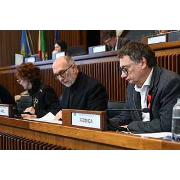L'assessore Fvg alla Salute, Riccardo Riccardi, e il presidente della III Commissione, Carlo Bolzonello - L'assessore Fvg alla Salute, Riccardo Riccardi, e il presidente della III Commissione, Carlo Bolzonello