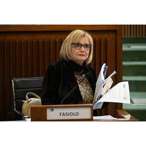Laura Fasiolo (Pd) - Laura Fasiolo (Pd)