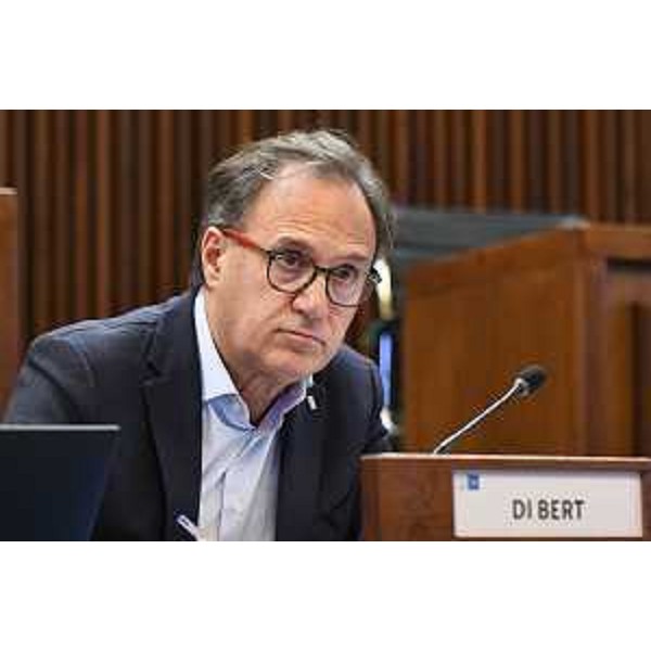 Mauro Di Bert (Fp) - Mauro Di Bert (Fp)