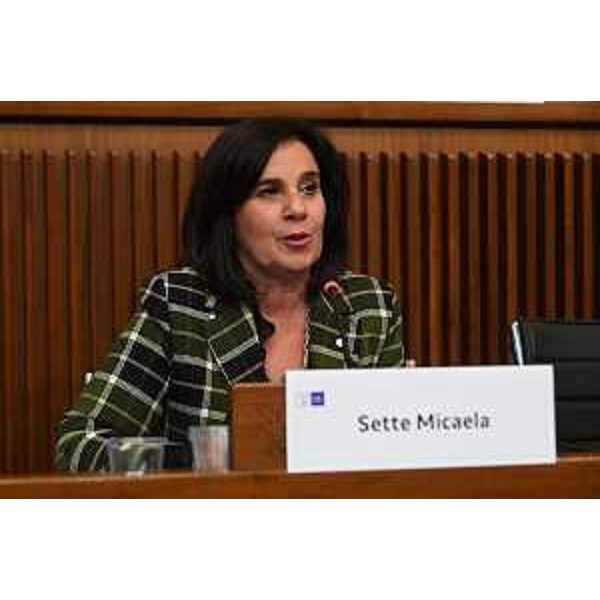Micaela Sette, presidente dell'Ordine dei dottori commercialisti di Udine - Micaela Sette, presidente dell'Ordine dei dottori commercialisti di Udine