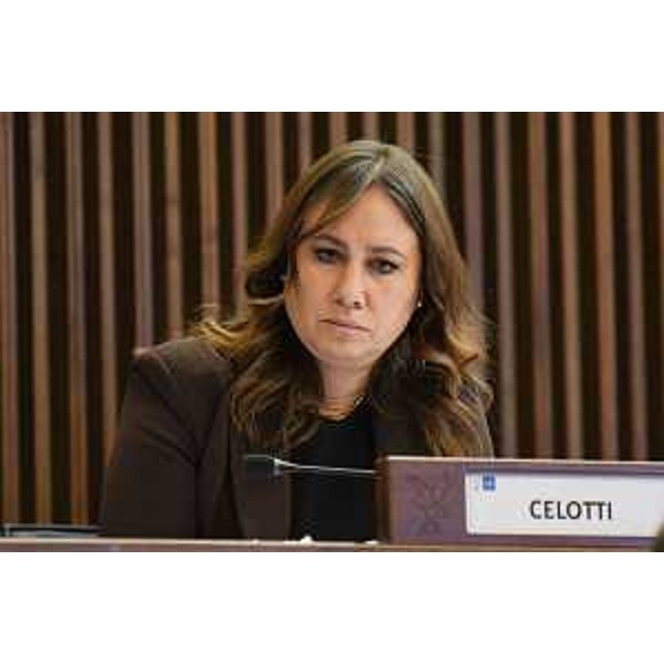 Manuela Celotti (Pd) - Manuela Celotti (Pd)