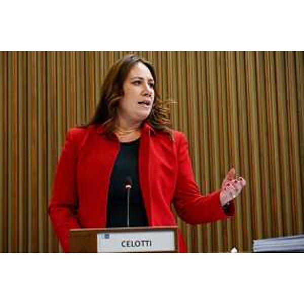 Manuela Celotti (Pd) - Manuela Celotti (Pd)