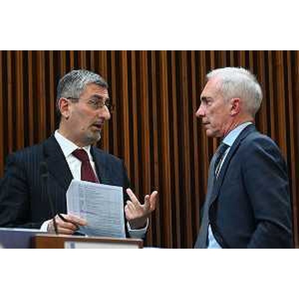 Da sinistra Andrea Carli (Pd) e Roberto Novelli (Forza Italia) - Da sinistra Andrea Carli (Pd) e Roberto Novelli (Forza Italia)