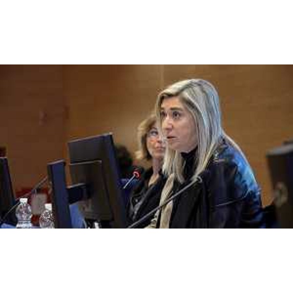 L'intervento dell'assessore regionale Cristina Amirante al convegno svoltosi oggi a Udine - L'intervento dell'assessore regionale Cristina Amirante al convegno svoltosi oggi a Udine