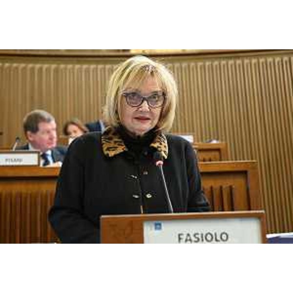 Laura Fasiolo (Partito democratico) - Laura Fasiolo (Partito democratico)