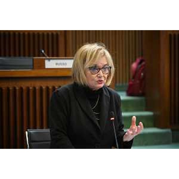 Laura Fasiolo (Pd) - Laura Fasiolo (Pd)