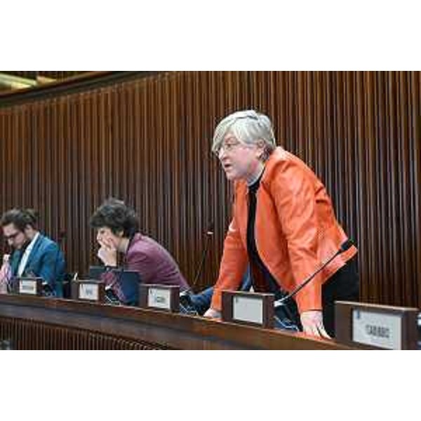 Simona Liguori (Patto-Civica Fvg) - Simona Liguori (Patto-Civica Fvg)