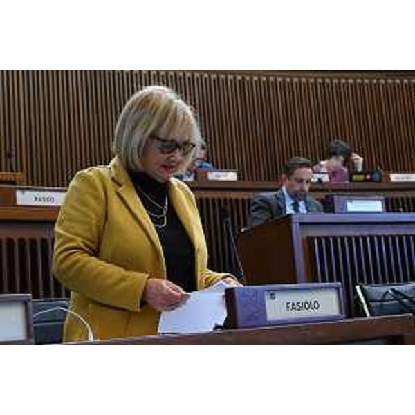 Laura Fasiolo (Pd) - Laura Fasiolo (Pd)