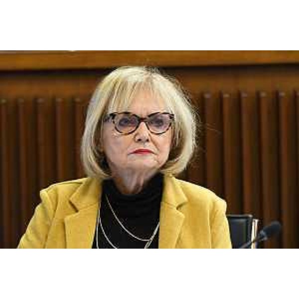 Laura Fasiolo (Pd) - Laura Fasiolo (Pd)