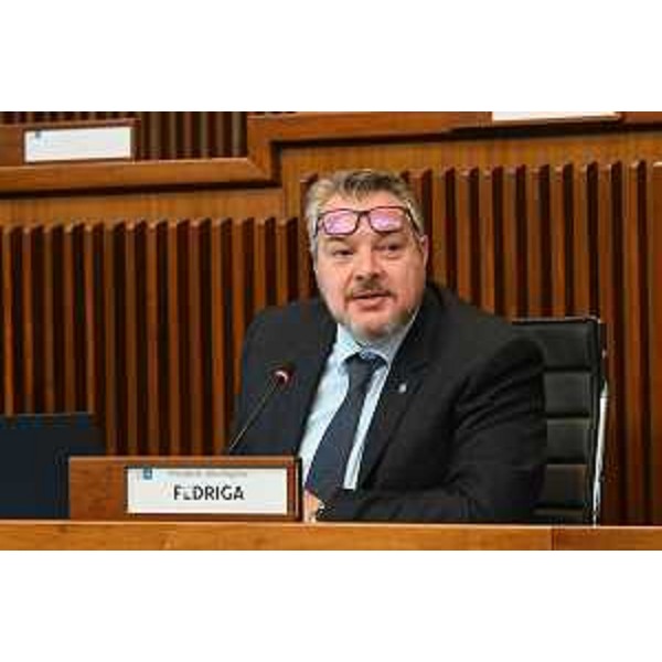 Il presidente della V Commissione, Diego Bernardis (Fp) - Il presidente della V Commissione, Diego Bernardis (Fp)