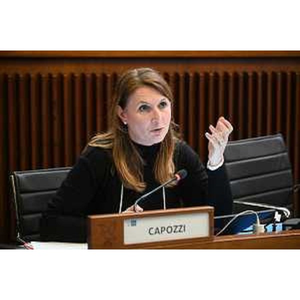 Rosaria Capozzi (M5S) - Rosaria Capozzi (M5S)