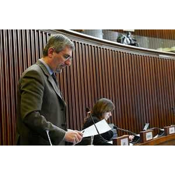Andrea Carli (Pd) - Andrea Carli (Pd)