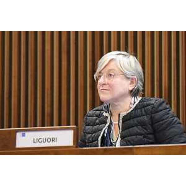 Simona Liguori (Patto-Civica Fvg) - Simona Liguori (Patto-Civica Fvg)