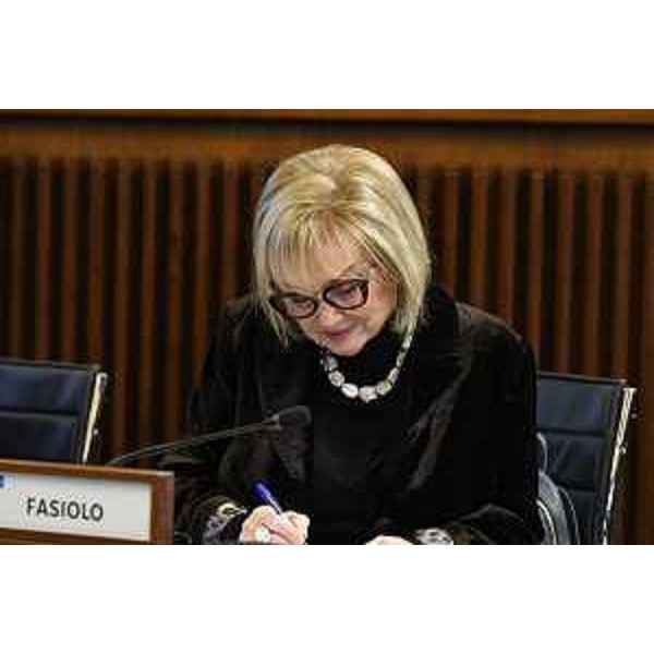 Laura Fasiolo (Pd) - Laura Fasiolo (Pd)