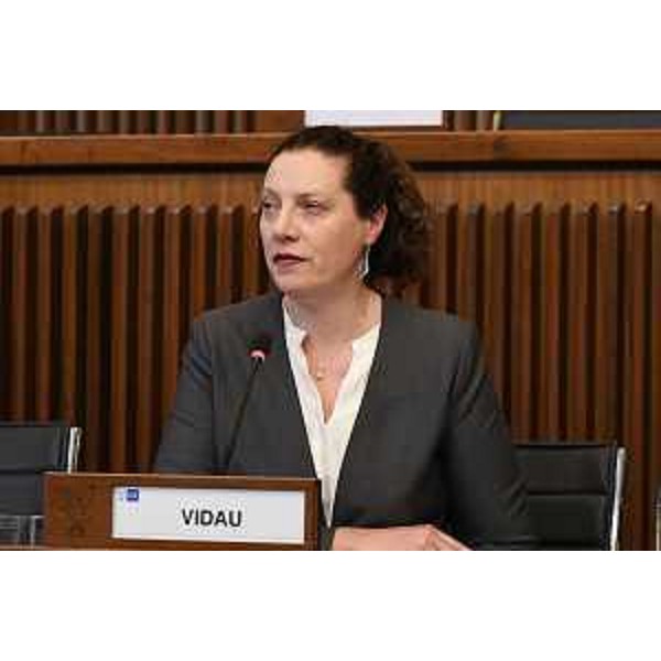 Zaira Vidau, ricercatrice dell'Istituto sloveno di ricerche (Slori) - Zaira Vidau, ricercatrice dell'Istituto sloveno di ricerche (Slori)
