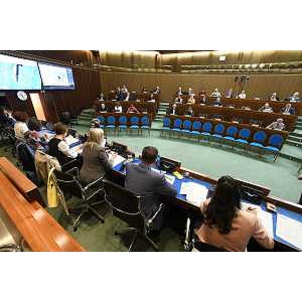 La seduta della IV Commissione con le audizioni sul ddl 36 - La seduta della IV Commissione con le audizioni sul ddl 36