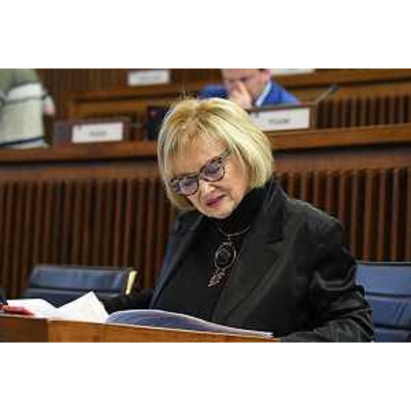 Laura Fasiolo (Pd) - Laura Fasiolo (Pd)