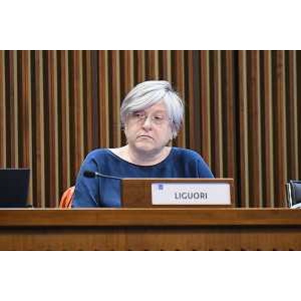 Simona Liguori (Patto-Civica Fvg) - Simona Liguori (Patto-Civica Fvg)