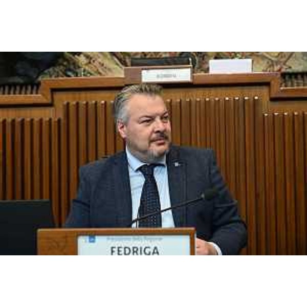 Diego Bernardis (Fedriga presidente) - Diego Bernardis (Fedriga presidente)