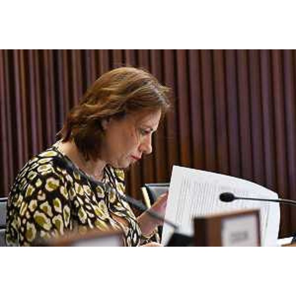 Manuela Celotti (Pd) - Manuela Celotti (Pd)
