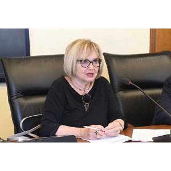 Laura Fasiolo (Pd) durante l'intervento nella seduta del Comitato - Laura Fasiolo (Pd) durante l'intervento nella seduta del Comitato