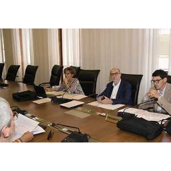 Un momento della riunione del Comitato per la legislazione, il controllo e la valutazione. Al centro l'assessore Riccardi - Un momento della riunione del Comitato per la legislazione, il controllo e la valutazione. Al centro l'assessore Riccardi