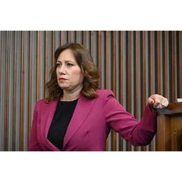 Manuela Celotti (Pd) - Manuela Celotti (Pd)