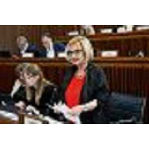 Laura Fasiolo (Pd) - Laura Fasiolo (Pd)