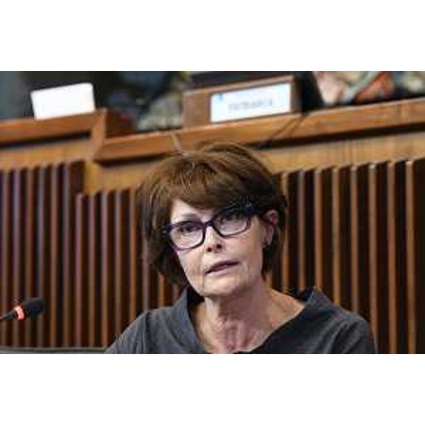L'assessore regionale al Lavoro, formazione, istruzione, famiglia, Alessia Rosolen in VI Commissione consiliare - L'assessore regionale al Lavoro, formazione, istruzione, famiglia, Alessia Rosolen in VI Commissione consiliare