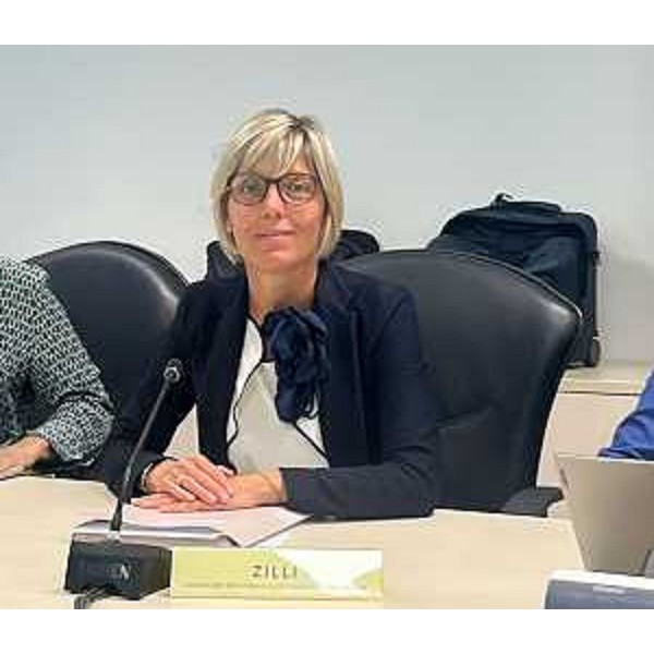 L'assessore alle Finanze Barbara Zilli oggi al Consiglio delle autonomie locali - L'assessore alle Finanze Barbara Zilli oggi al Consiglio delle autonomie locali