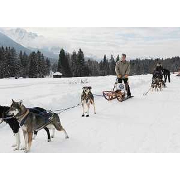 Renzo Tondo (Presidente Friuli Venezia Giulia) nel corso della visita alla Scuola Internazionale Mushing di Fusine, sede nazionale della federazione Italiana Musher Sleddog Sport (FIMSS). (Fusine 26/01/09)