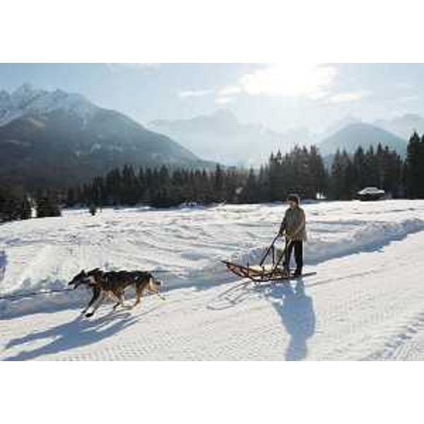 Renzo Tondo (Presidente Friuli Venezia Giulia) nel corso della visita alla Scuola Internazionale Mushing di Fusine, sede nazionale della federazione Italiana Musher Sleddog Sport (FIMSS). (Fusine 26/01/09)