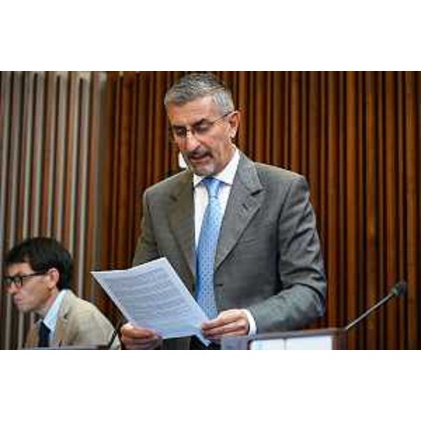 Andrea Carli (Partito democratico) - Andrea Carli (Partito democratico)