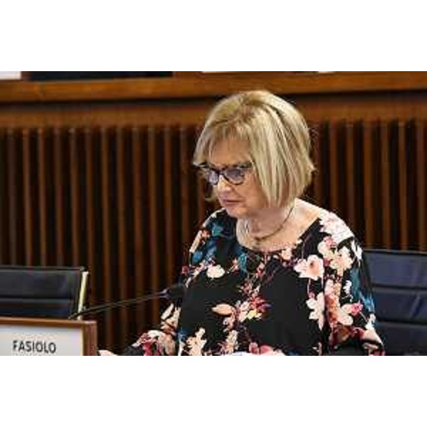 Laura Fasiolo (Pd) - Laura Fasiolo (Pd)