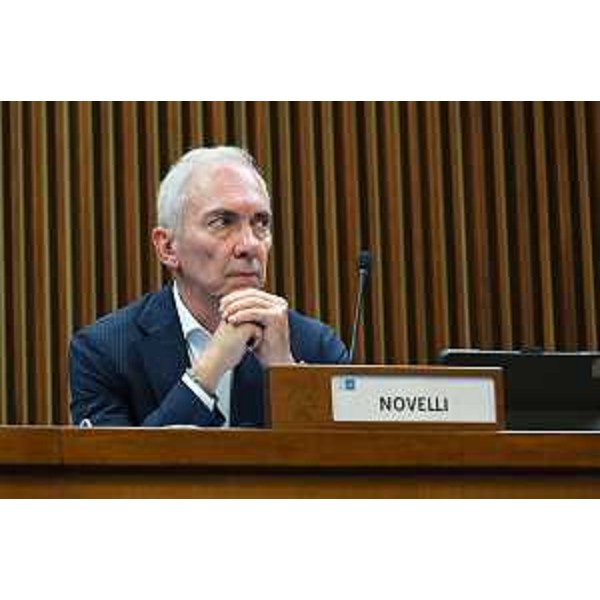 Roberto Novelli (FI) - Roberto Novelli (FI)