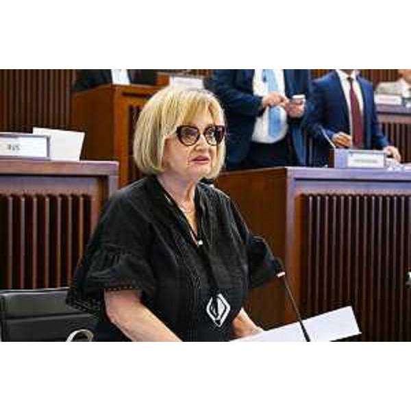 Laura Fasiolo (Pd) - Laura Fasiolo (Pd)