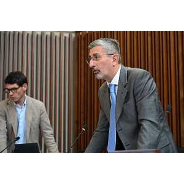 Andrea Carli e NIcola Conficoni (Pd) - Andrea Carli e NIcola Conficoni (Pd)