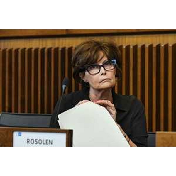 L'assessore Fvg alla Formazione , Alessia Rosolen - L'assessore Fvg alla Formazione , Alessia Rosolen