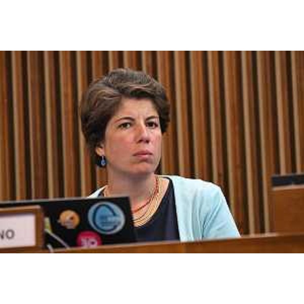 Giulia Massolino (Patto per l'Autonomia-Civica Fvg) - Giulia Massolino (Patto per l'Autonomia-Civica Fvg)