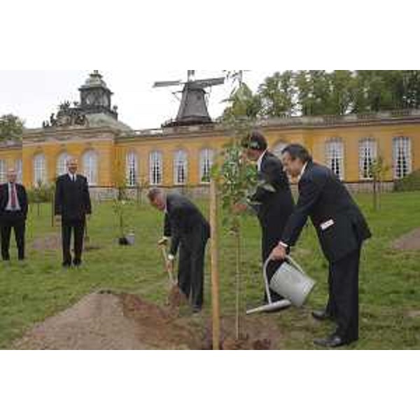 Riccardo Illy (Presidente Regione Friuli Venezia Giulia) mentre pianta un albero di ciliegio nel parco del castello Sanssouci a Postdam. È questa una tradizione ormai consolidata del premio "Quadriga". (Postdam 03/10/06)