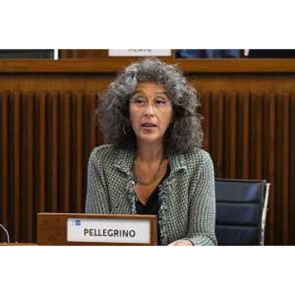 Serena Pellegrino (Avs) - Serena Pellegrino (Avs)