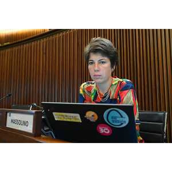 Giulia Massolino (Patto per l'Autonomia-Civica Fvg) - Giulia Massolino (Patto per l'Autonomia-Civica Fvg)