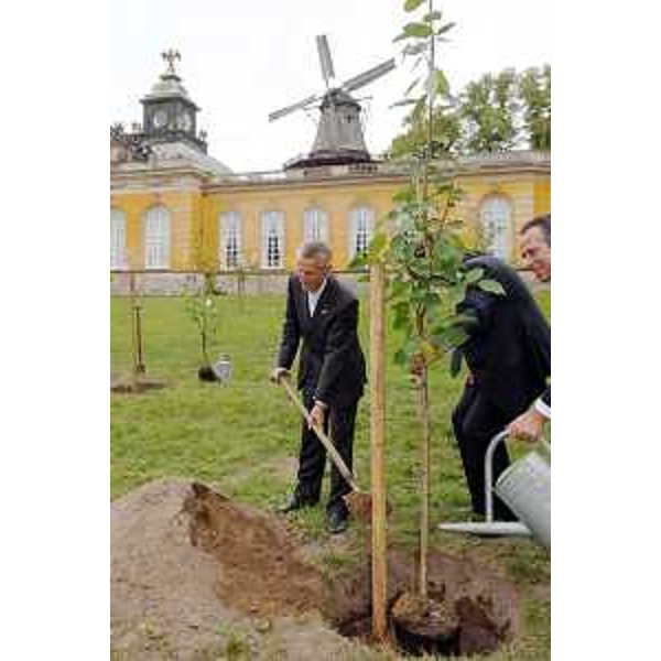 Riccardo Illy (Presidente Regione Friuli Venezia Giulia) mentre pianta un albero di ciliegio nel parco del castello Sanssouci a Postdam. È questa una tradizione ormai consolidata del premio "Quadriga". (Postdam 03/10/06)
